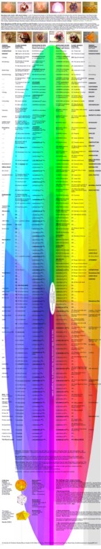 Big Board-little universe